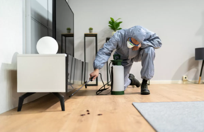 Pest Control Services: A Vital Component of Home Maintenance