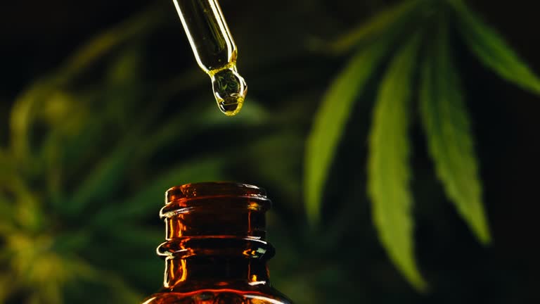 Exploring the Healing Powers of CBD Oil A Detailed Guide